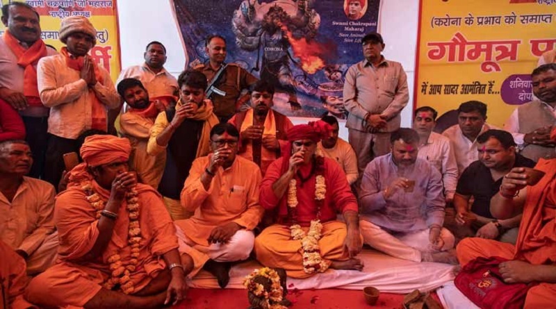 cow urin party to save from corona organized from hindu mahasabha