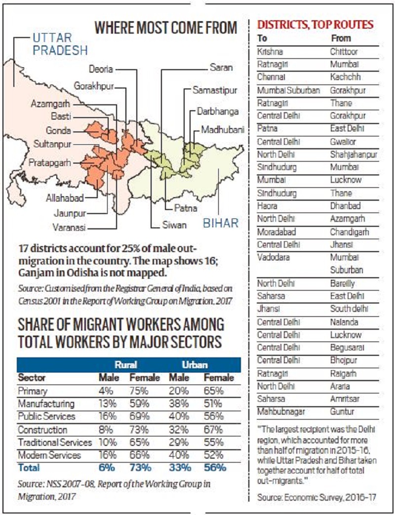 migrant laborer graphic