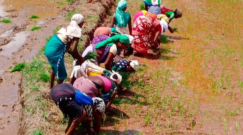 farm labourer dalit women