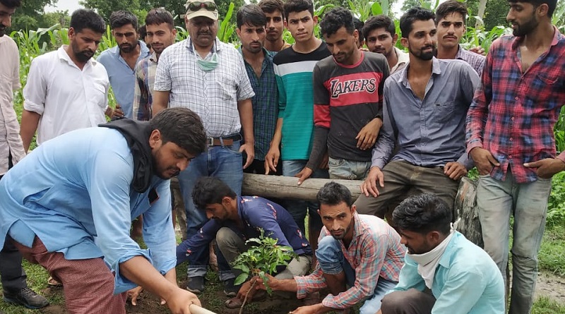 van gujjar tree plantation in uttarakhand