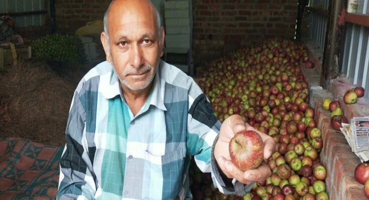 himachal pradesh farmers