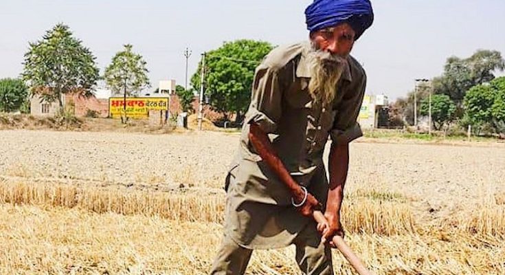 https://www.workersunity.com/wp-content/uploads/2021/11/Punjab-farm-labourer-tt.jpg
