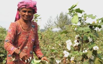 https://www.workersunity.com/wp-content/uploads/2023/05/Women-farm-labourer-in-jind.jpg