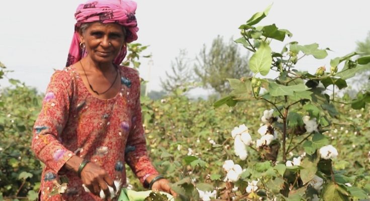 https://www.workersunity.com/wp-content/uploads/2023/05/Women-farm-labourer-in-jind.jpg